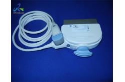 China Obstetrics Used Ultrasound Probe GE 3CRF Micro - Convex supplier