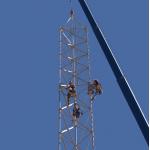 50m Lattice Tubular Galvanized Steel Tower