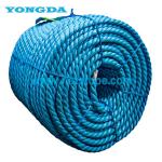 4mm 6mm 8mm PP Farm Rope For Animal Husbandry/Greenhouse/Bundling Fruit Trees/Bundling Crops for sale