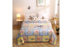 China Polyester Super Soft Fleece Blankets supplier