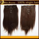 Straight Human Real Hair Clip In Hair Extensions no shedding for Thin Hair for sale