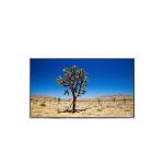 LC201V02-SD02 20.1 inch Lcd Panel Monitor For TV Sets for sale