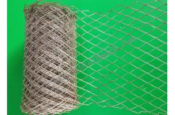 China 20cm Width 0.40MM Brickwork Reinforcement Mesh Galvanized Plate 100m Length supplier