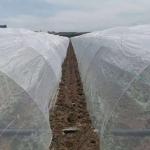 HDPE Different Size Garden Netting 30-50 Mesh For Vegetables