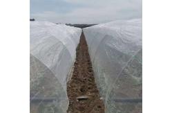 China HDPE Different Size Garden Netting 30-50 Mesh For Vegetables supplier