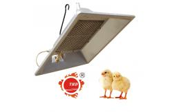 China Adjustable Gas Brooder Heater Low Consumption Fire Poultry Farm Heating Equipment supplier