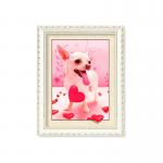 Colorful Amazing Animal 5D Pictures 12x17 Inches  0.6mm PET Material for sale