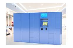 China Keyless Network Smart Storage Parcel Delivery Lockers Coin Bill Card Operated supplier