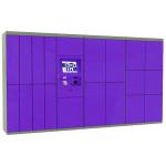 School Smart Parcel Delivery Lockers With Student Card Access To Pickup for sale