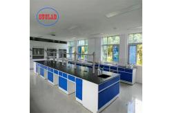 China Customizable Chemistry Lab Furniture Modern Powder Coated Tables Integrated Design supplier