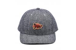 China Adjustable Closure Six-Panel Snapback Cap - Match The Fabric Stitching supplier