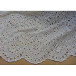 Chemical Vintage Eyelet 100% Cotton Lace Fabric For Lady Shirt And Suit Anti Static for sale