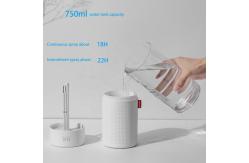 China 750ml Home Ultrasonic Air Humidifier Nano Atomization 2000mAh Home supplier