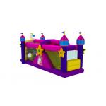 Outdoor Unicorn Theme 4x9.5x4.5m Inflatable Obstacle Courses