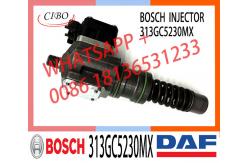 China Injector Pump 313GC5230M 313GC5230MX For DAF XF95 95XF 480 CF75/85 supplier