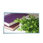 New for AUO screen M238HAN02.2 23.8 inch LCD Panel for sale