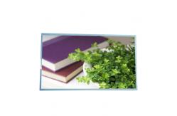 China New for AUO screen M238HAN02.2 23.8 inch LCD Panel supplier