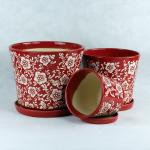 Unique Ceramic Pots For Distinctive And Eye-catching Plant Collection