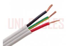 China Flat TPS 2 Core  PVC Insulated Cable 450 750V supplier