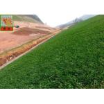 Black Color Erosion Control Net For Three Dimensional Erosion Blanket 250g / Sqm for sale
