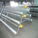 120 Birds Capacity Poultry Battery Chicken Eggs Cage New Design for sale