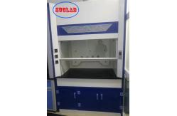China Modern Laboratory Fume Cupboard With LED Lighting And Gas Tap supplier