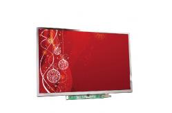 China B121EW07 V1 1280*800 12.1 inch TFT-LCD screen Display supplier