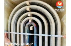 China Boiler U Tube ASTM A213 TP304 / 304L SS Seamless U Bend Tube supplier