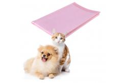 China Non Woven Pet Pee Pad supplier