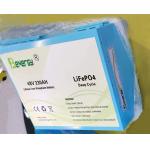 48V 230Ah Lithium Iron Phosphate Battery With LCD Screen Electric Boat Battery