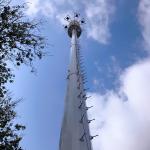 Environmental Telecom Monopole Bionic Tree Mobile Cell Tower 30m/S for sale