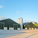 Fully Automated Ventilated Chicken Coop Light Steel Frame Structure Building for sale