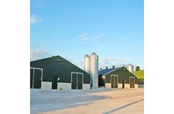 China Fully Automated Ventilated Chicken Coop Light Steel Frame Structure Building supplier