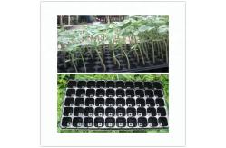 China 1L Propagation 200 Cell HIPS Plastic Seedling Tray Greenhouse Nursery Seed Tray supplier