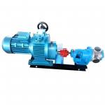 NCB Stainless Steel High Viscosity Rotor Pump 4KW Large Flow Low Noise