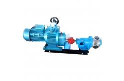 China NCB Stainless Steel High Viscosity Rotor Pump 4KW Large Flow Low Noise supplier