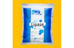 China White Powder Enzyme Of Fats 20000U/G Lipase Customized Enzyme Activity supplier