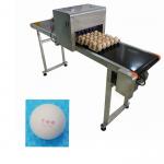 Easy Operation Automatic Egg Printing Machine For The Whole Tray Duck Eggs