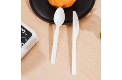 China Compostable Disposable PLA Bioplastic Spoons Bulk Utensils 5.7 Inch supplier