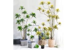 China Artificial special-shaped dracaena Reflexa tree green home deco hotel office potted tree supplier