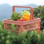 Handle Plastic Basket Organizer