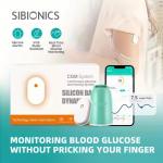 Portable Home Continuous Glucose Monitor Painless Blood Collection With Small Bluetooth Transmission for sale