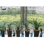 120GSM Anti UV Shade Net Horticulture 80 Percent Shade Net 2*100m for sale