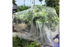 China Agriculture Insect Mesh Netting 4m Width 50 Mesh HDPE Material With UV supplier
