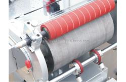 China Automatic High Speed Roll Sticker Die Cutting Machine supplier