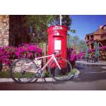 High Temperature Resistance Bicycle Frame Decals Easy To Cut SGS Approval