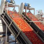 Tomato Paste Production Line For 50 Tones Per Day Processing Machine Turnkey Solutions for sale