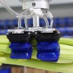 Food Industry 1100g Universal Robot Gripper Saving Manpower for sale