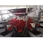 Multi Function Tomato Fruits Weighing And Packing Machine With Multihead
