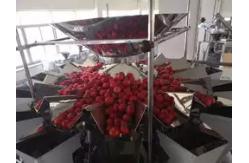 China Multi Function Tomato Fruits Weighing And Packing Machine With Multihead supplier